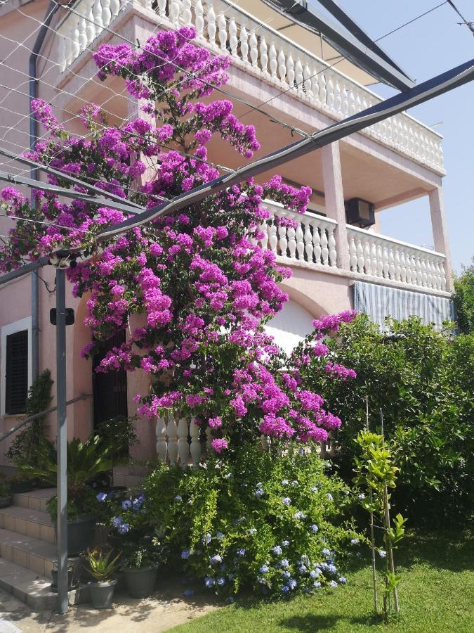 Apartments Daniela Vodice Eksteriør billede